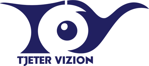 Another Vision logo